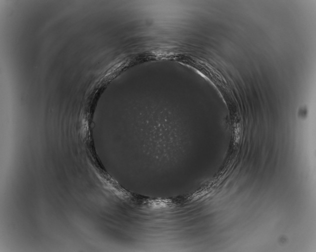 X0000100200618200806131231