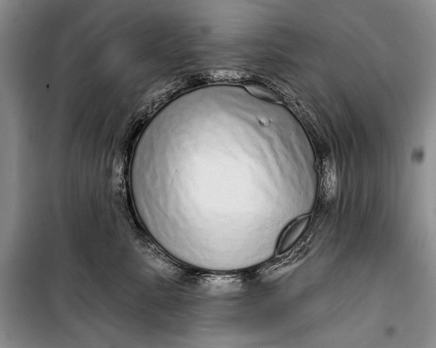 X0000100200619200806131231