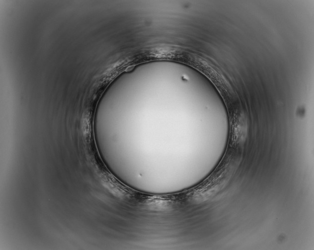 X0000100200620200806131231