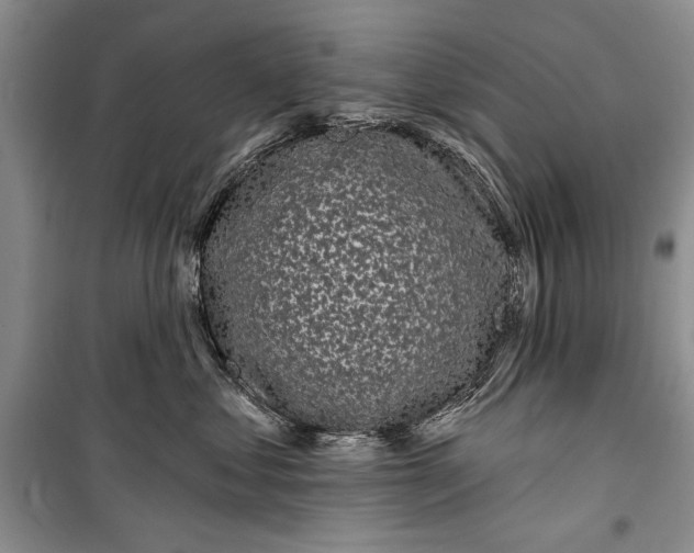 X0000100200621200806131231