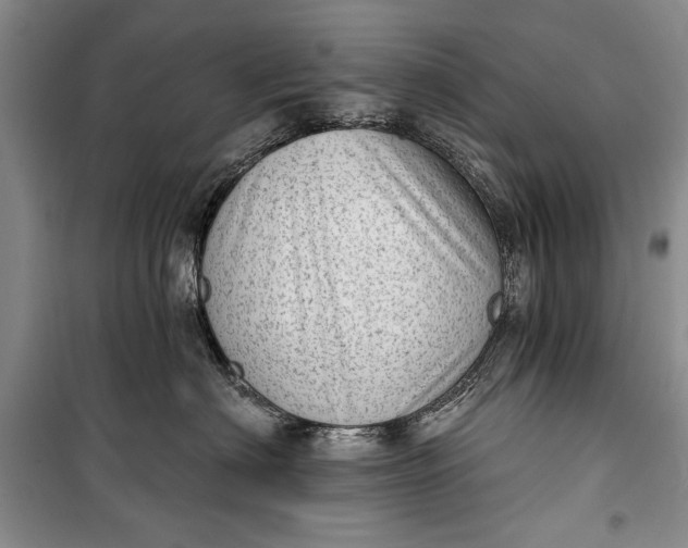 X0000100200622200806131231