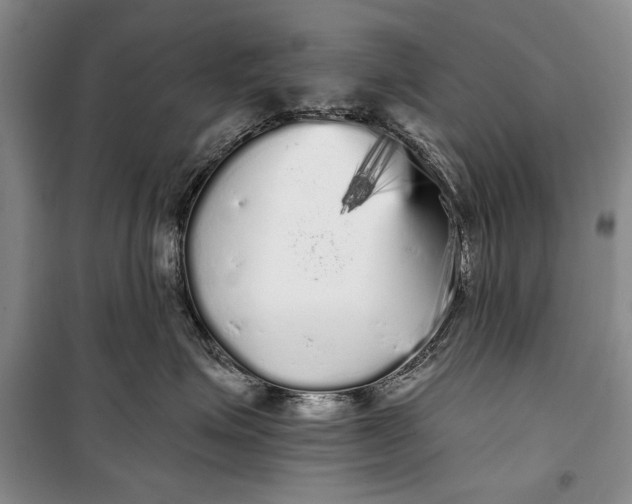 X0000100200623200806131231