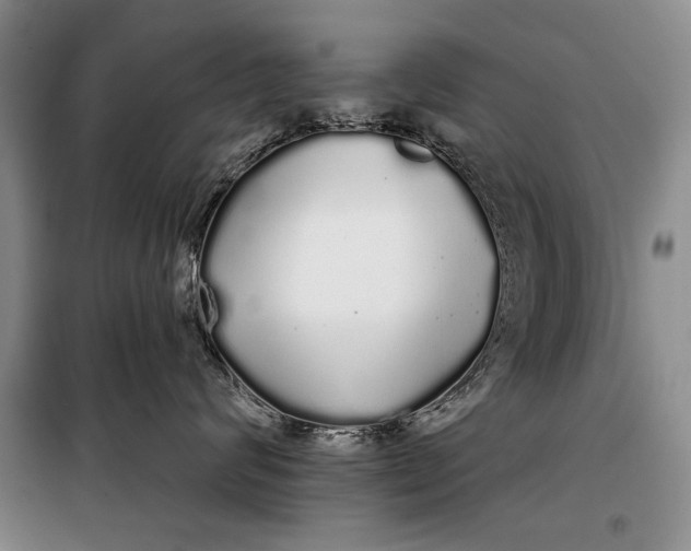 X0000100200624200806131231