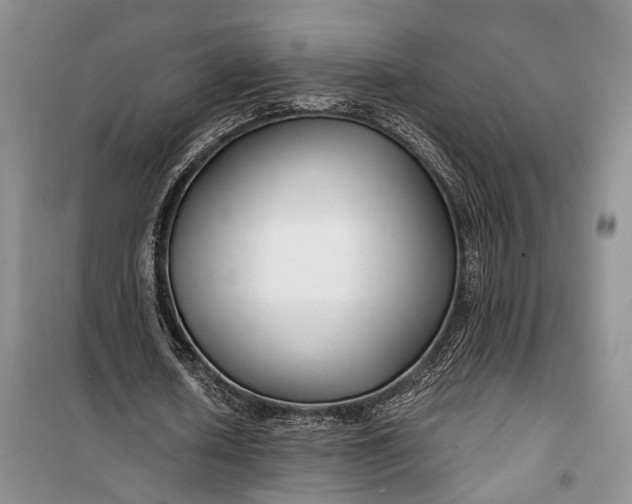 X0000100200626200806131230