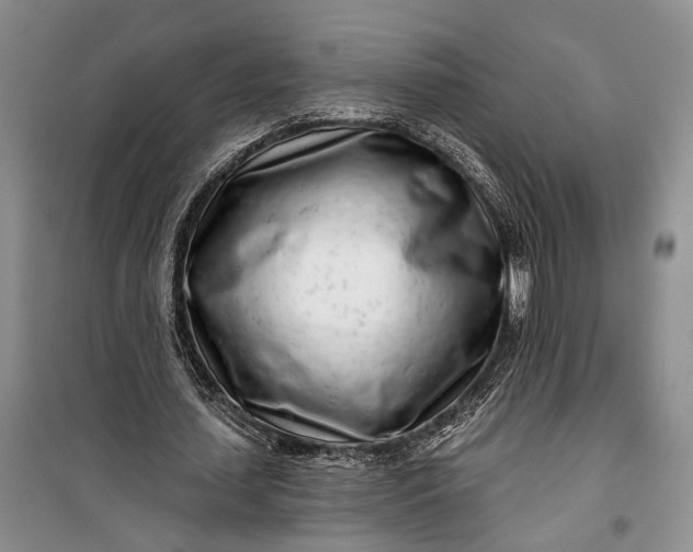 X0000100200627200806131230