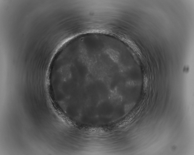 X0000100200628200806131230