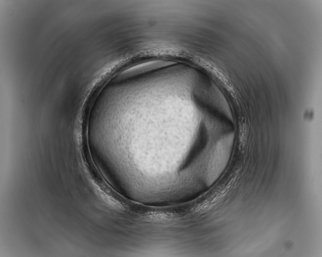 X0000100200629200806131230