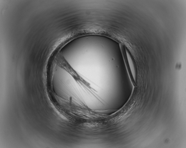 X0000100200630200806131230