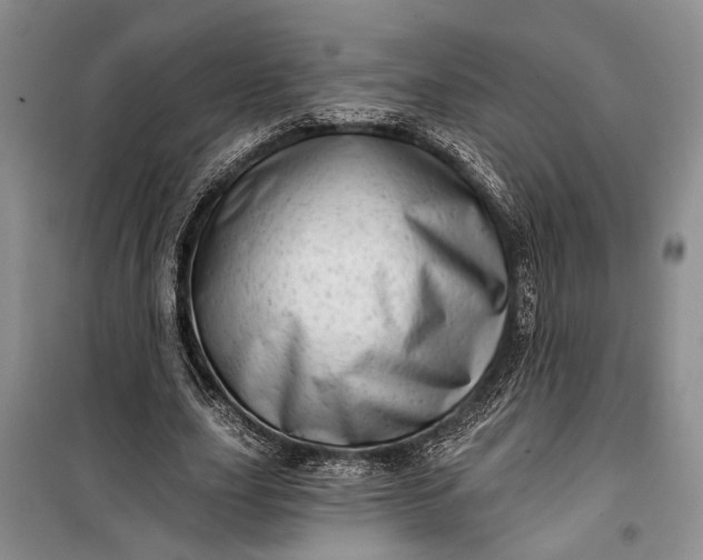 X0000100200631200806131230