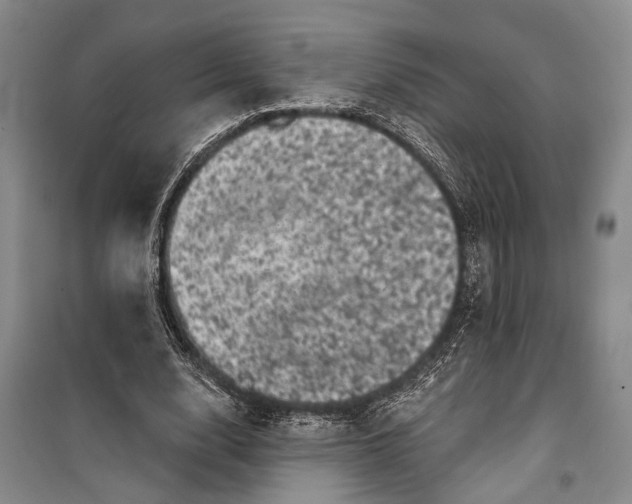 X0000100200632200806131230