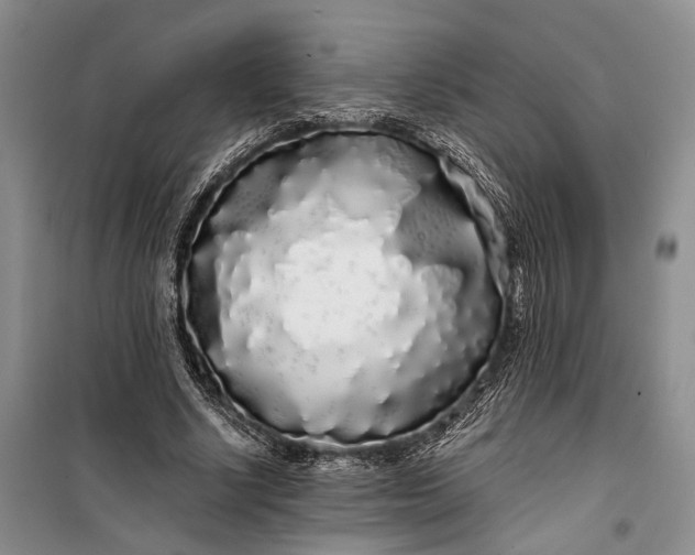 X0000100200634200806131230