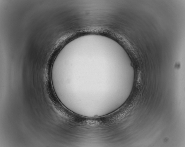 X0000100200636200806131230