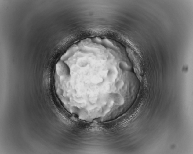 X0000100200637200806131230