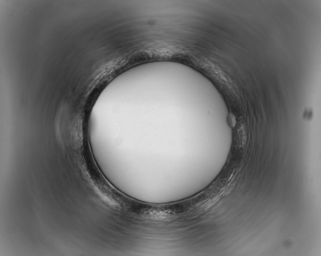 X0000100200638200806131230