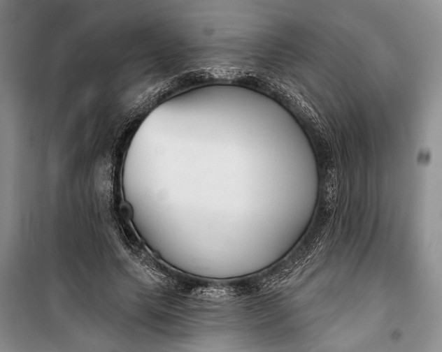 X0000100200639200806131230