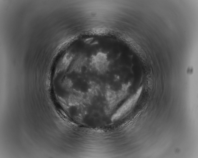 X0000100200640200806131230