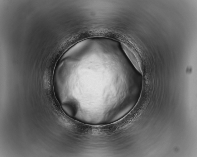 X0000100200641200806131230