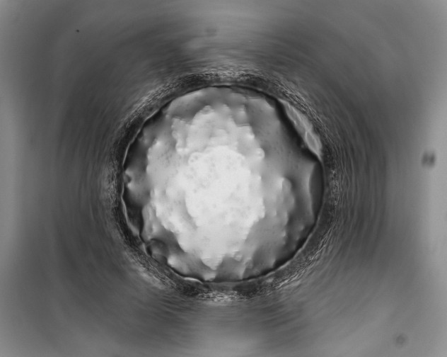 X0000100200642200806131230