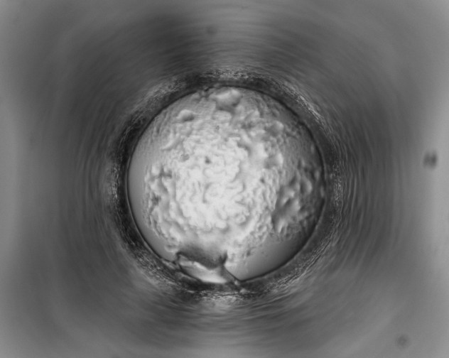 X0000100200643200806131230