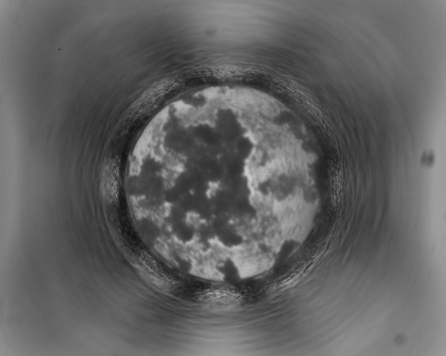 X0000100200644200806131231