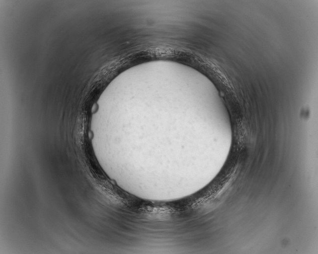 X0000100200645200806131231