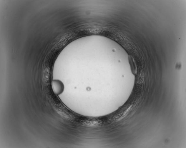 X0000100200646200806131231