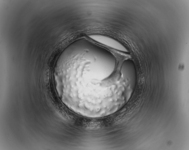 X0000100200647200806131231