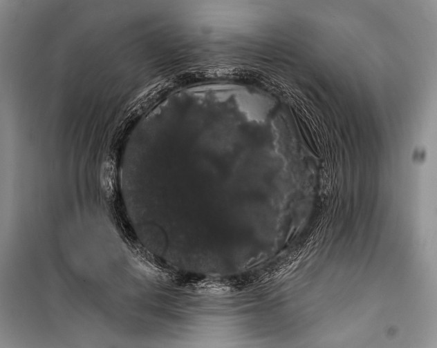 X0000100200648200806131231