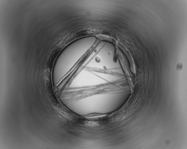 X0000100200649200806131231