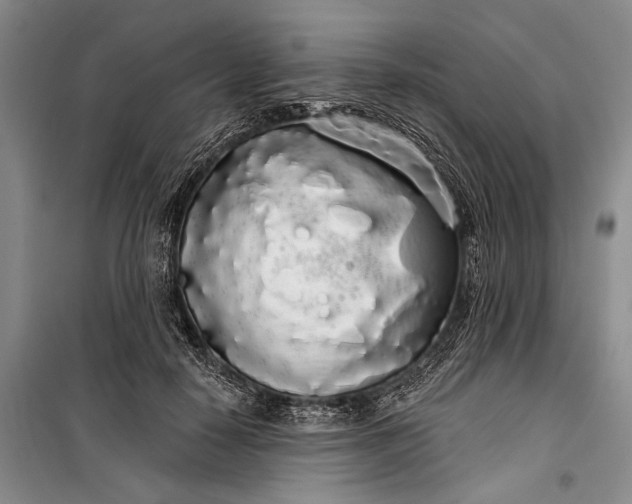 X0000100200650200806131231