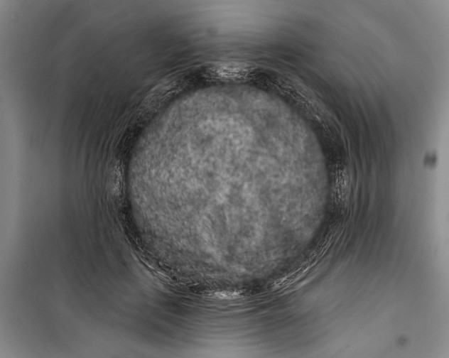 X0000100200651200806131231