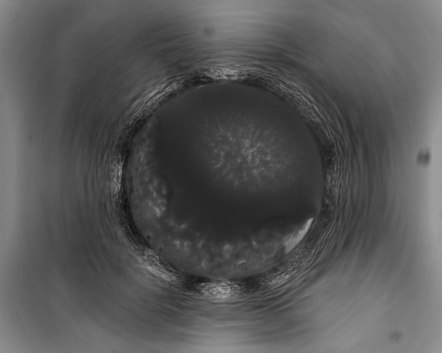 X0000100200652200806131231