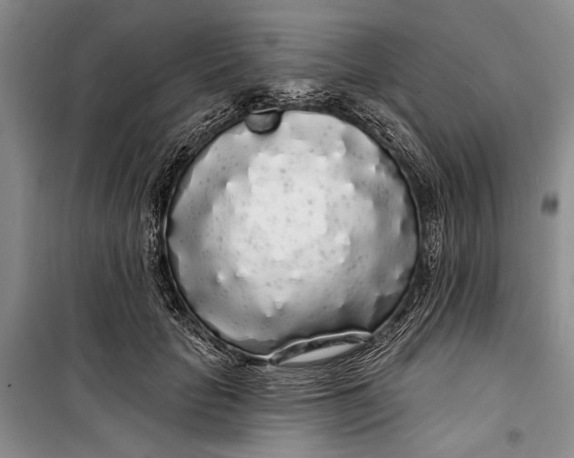 X0000100200653200806131231