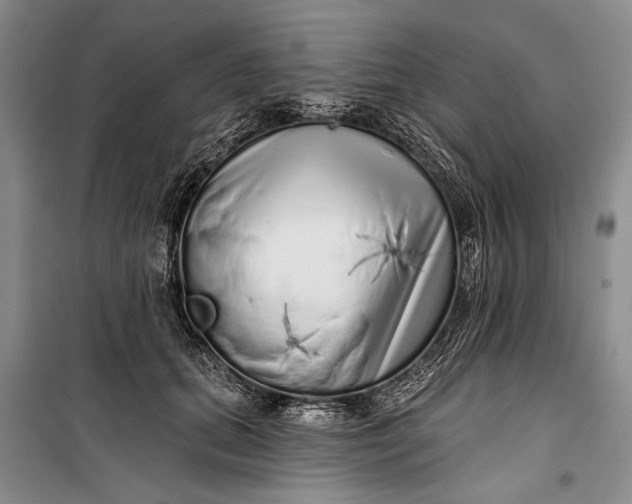 X0000100200655200806131231