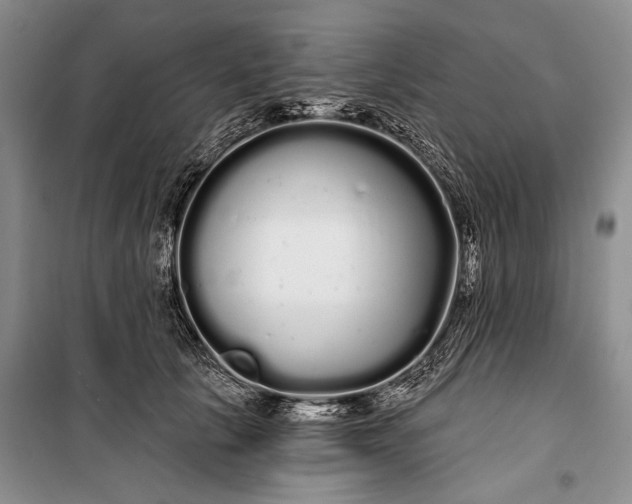 X0000100200657200806131231