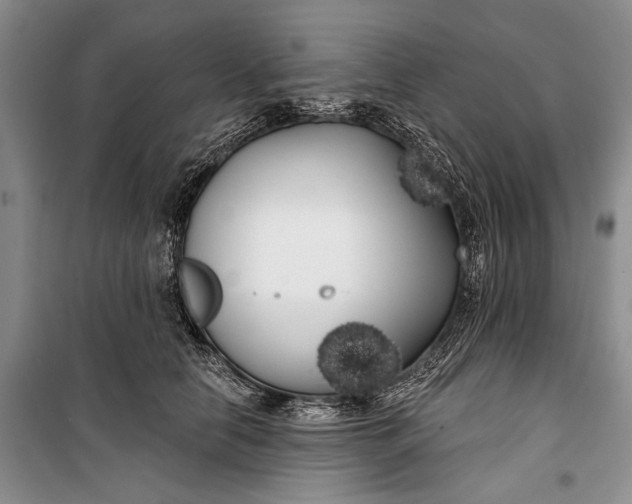 X0000100200658200806131231