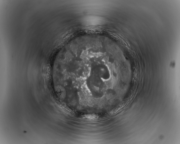 X0000100200659200806131231