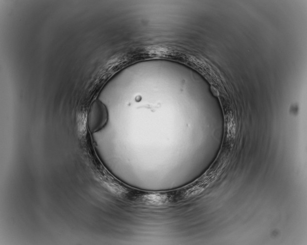 X0000100200660200806131231