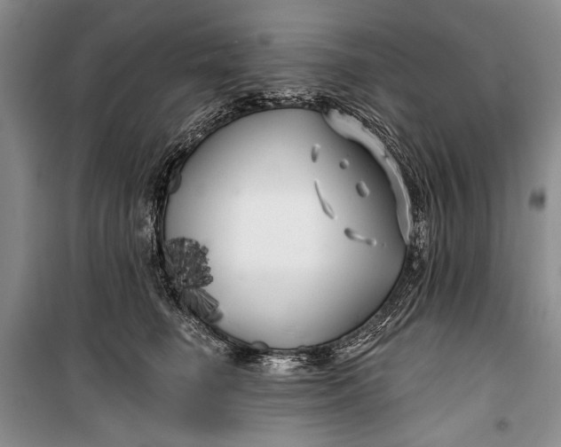 X0000100200662200806131231