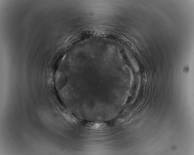 X0000100200663200806131231