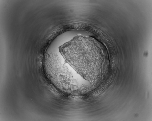 X0000100200664200806131231