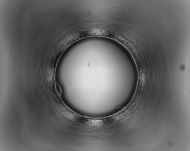 X0000100200665200806131231