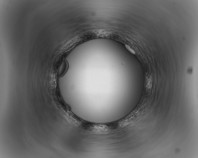 X0000100200666200806131231