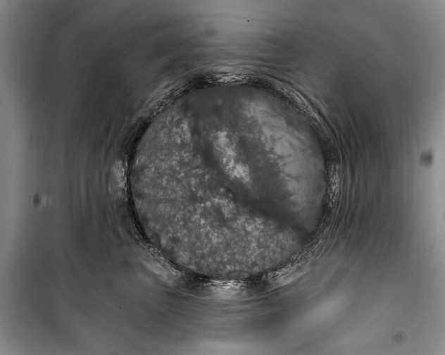 X0000100200667200806131231