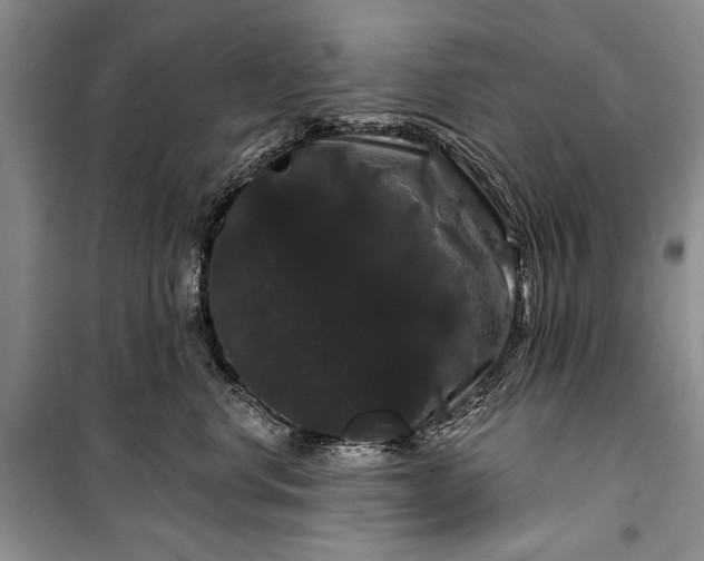 X0000100200668200806131231