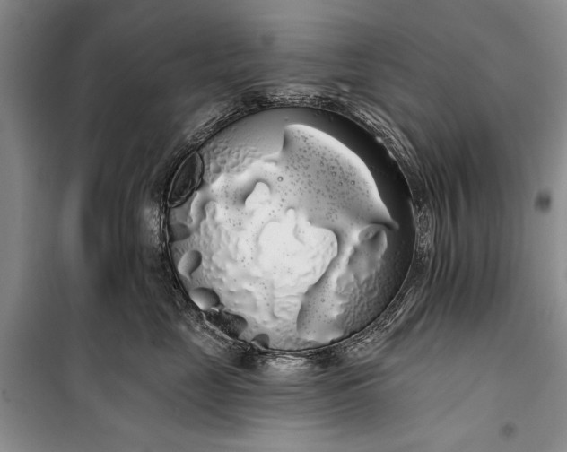 X0000100200669200806131231