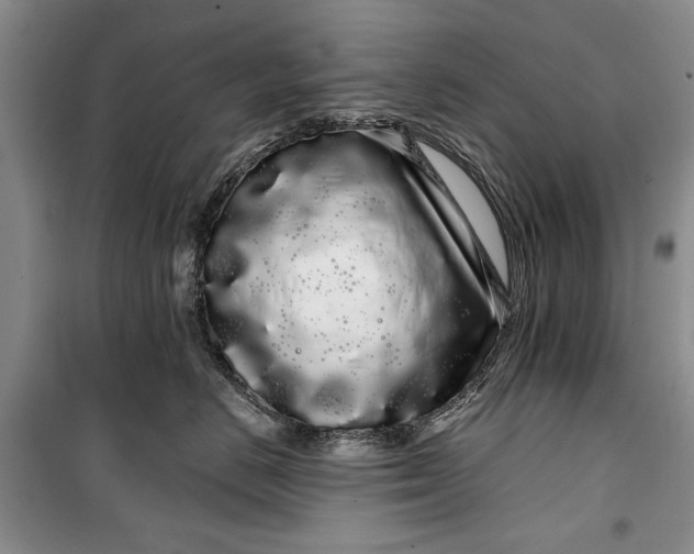 X0000100200670200806131231