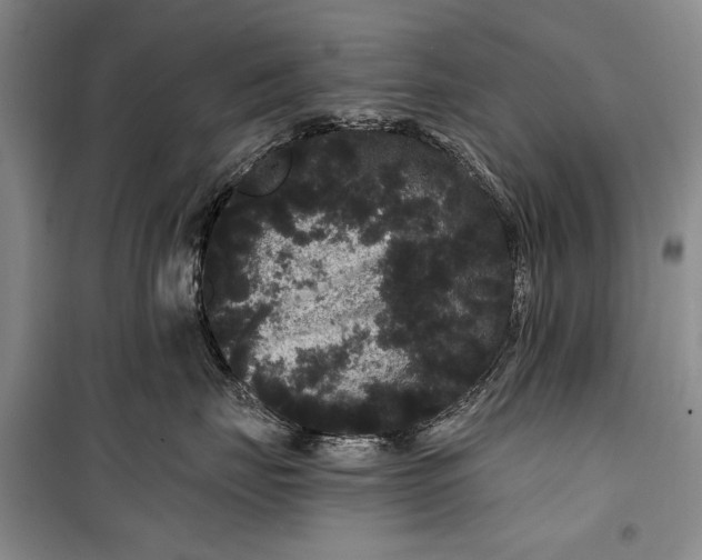 X0000100200671200806131231