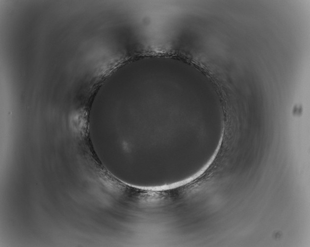 X0000100200672200806131231