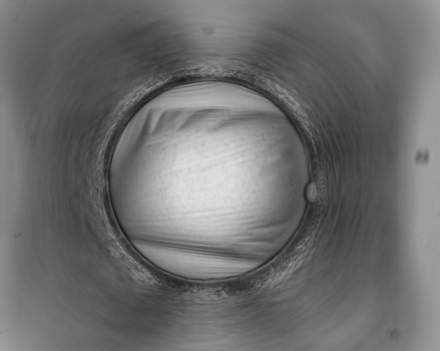 X0000100200673200806131230